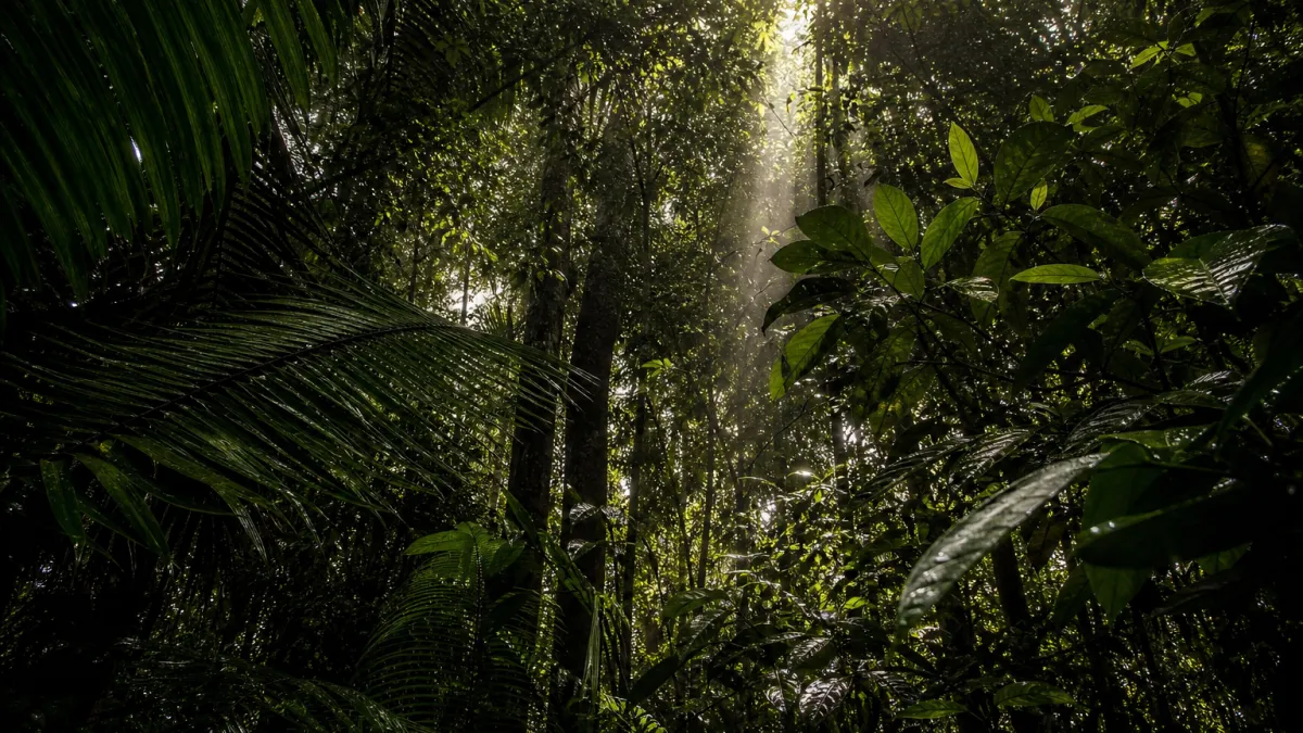 Faune abondante : où se cache la biodiversité mondiale ?